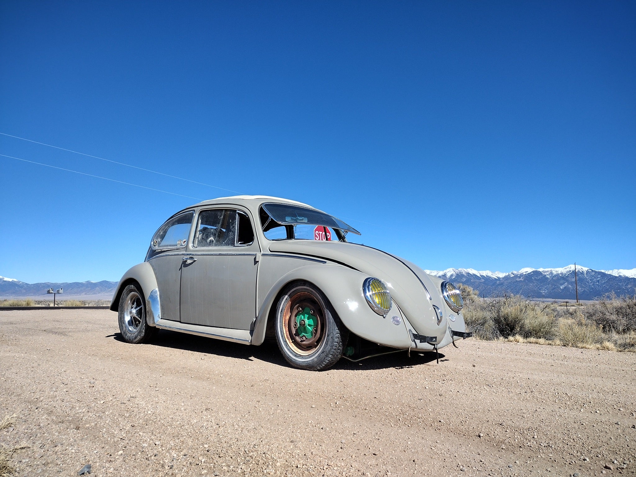 VW Bug Front Safari Window (1965 & Newer) | LooseNuts Safaris