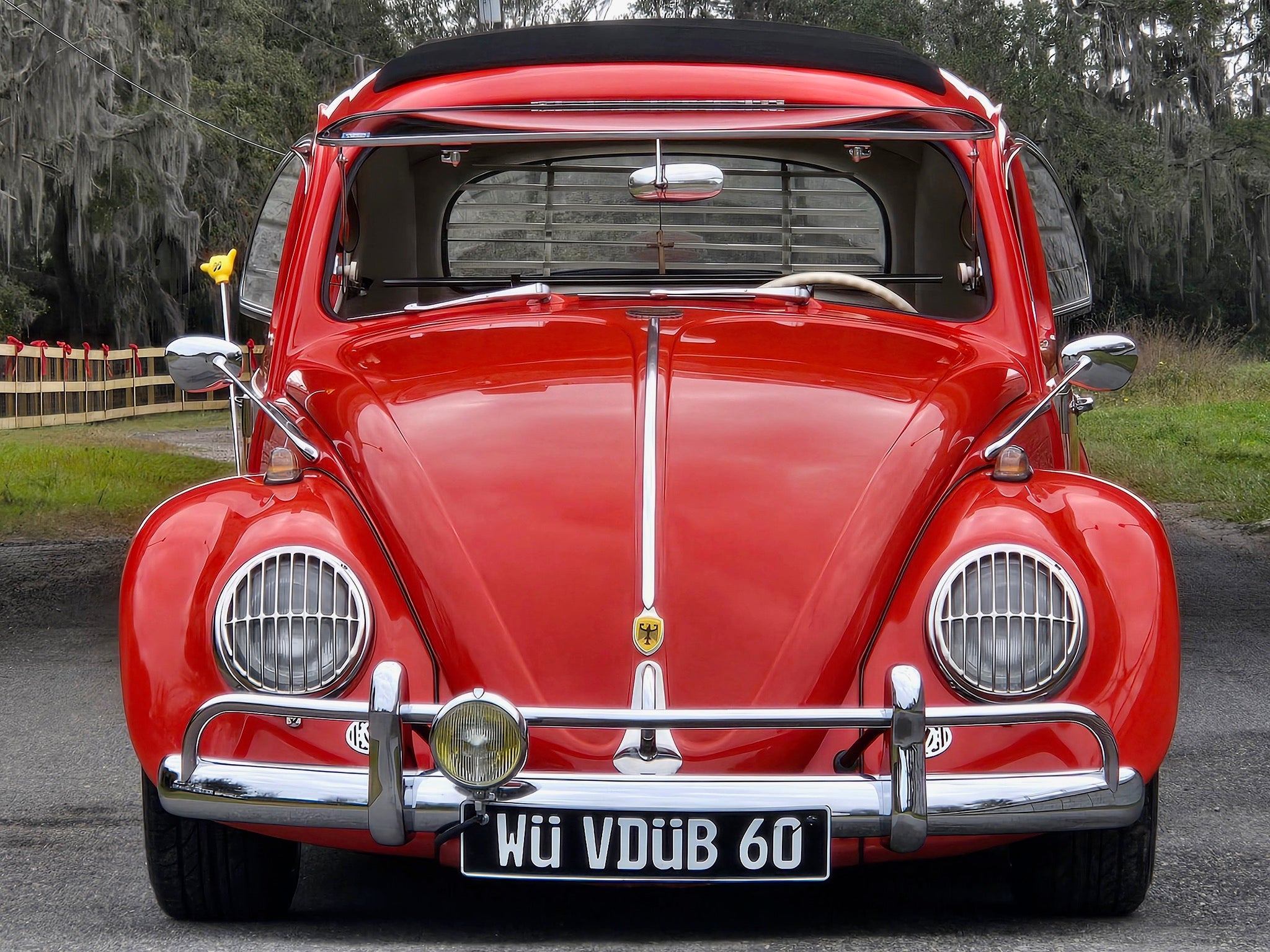 VW Bug Front Safari Window (1958-1964) | LooseNuts Safaris