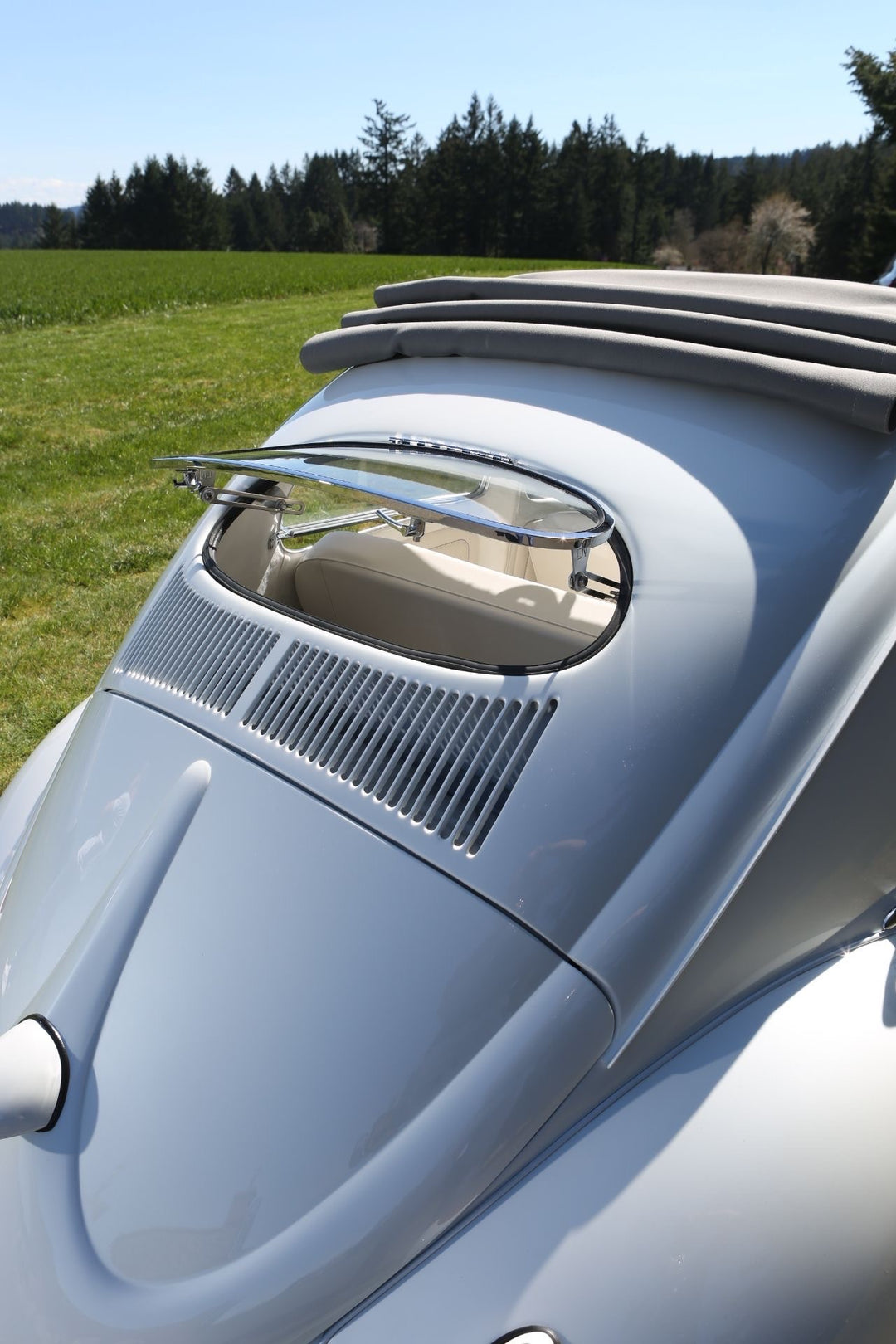 63 Bug Rear Window VW Oval Window Bug Rear Safari | LooseNuts Safaris